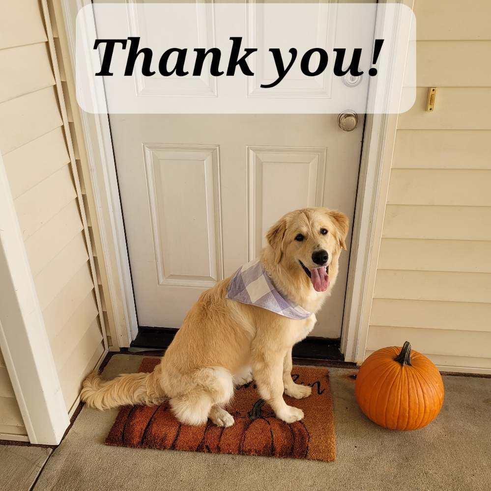 ✨️Thank you!! 🐶🍁🐾